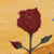Eishet Chayil - Woman of Valor Wall Hanging