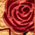 Eishet Chayil Rose Wall Hanging<br>Honoree Gift North Shore Mikvah Association Dinner 2010